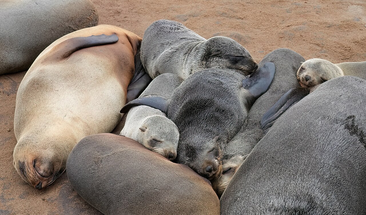 Sleep